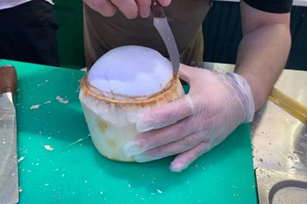又一波饮品来袭,椰奶饮品会引来一波新潮流吗(图2) 又一波饮品来袭,椰奶饮品会引来一波新潮流吗(图2)